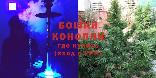 мдма Новозыбков