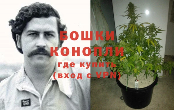 ГАЛЛЮЦИНОГЕННЫЕ ГРИБЫ Новокубанск