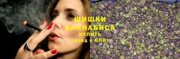 мдма Новозыбков