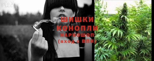 ГАЛЛЮЦИНОГЕННЫЕ ГРИБЫ Новокубанск
